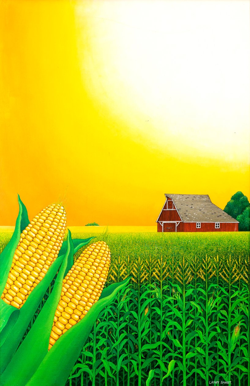 Champ de maïs du Nebraska, 1993 - Larry Smart