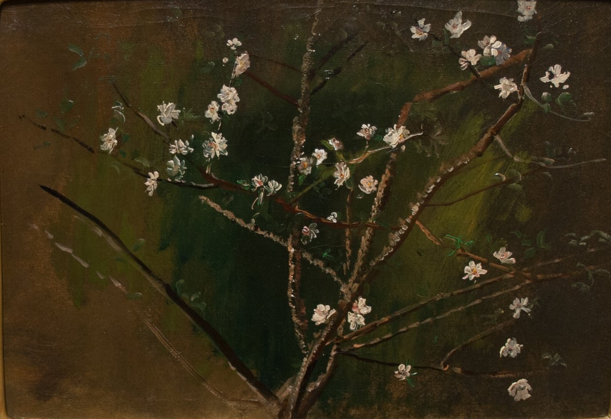 Floraison - Laszlo Mednyanszky