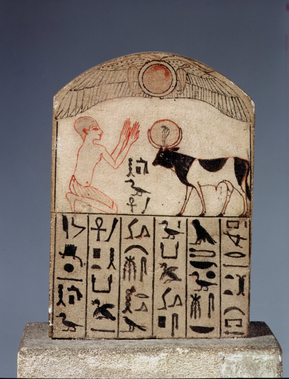 Stèle pour le taureau Apis - Late Period Egyptian
