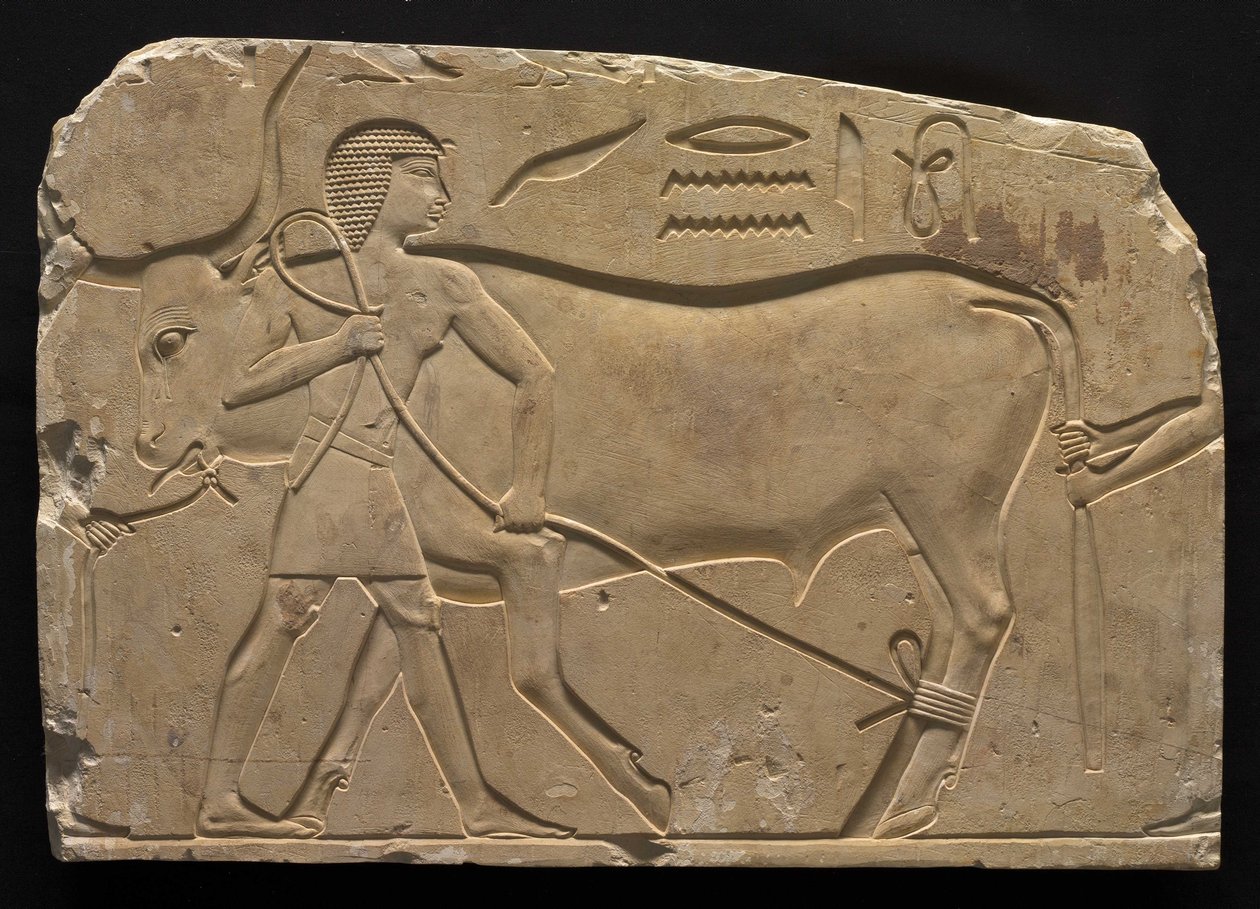 Hommes attachant un bœuf, 667-647 av. J.-C. - Late Period Egyptian