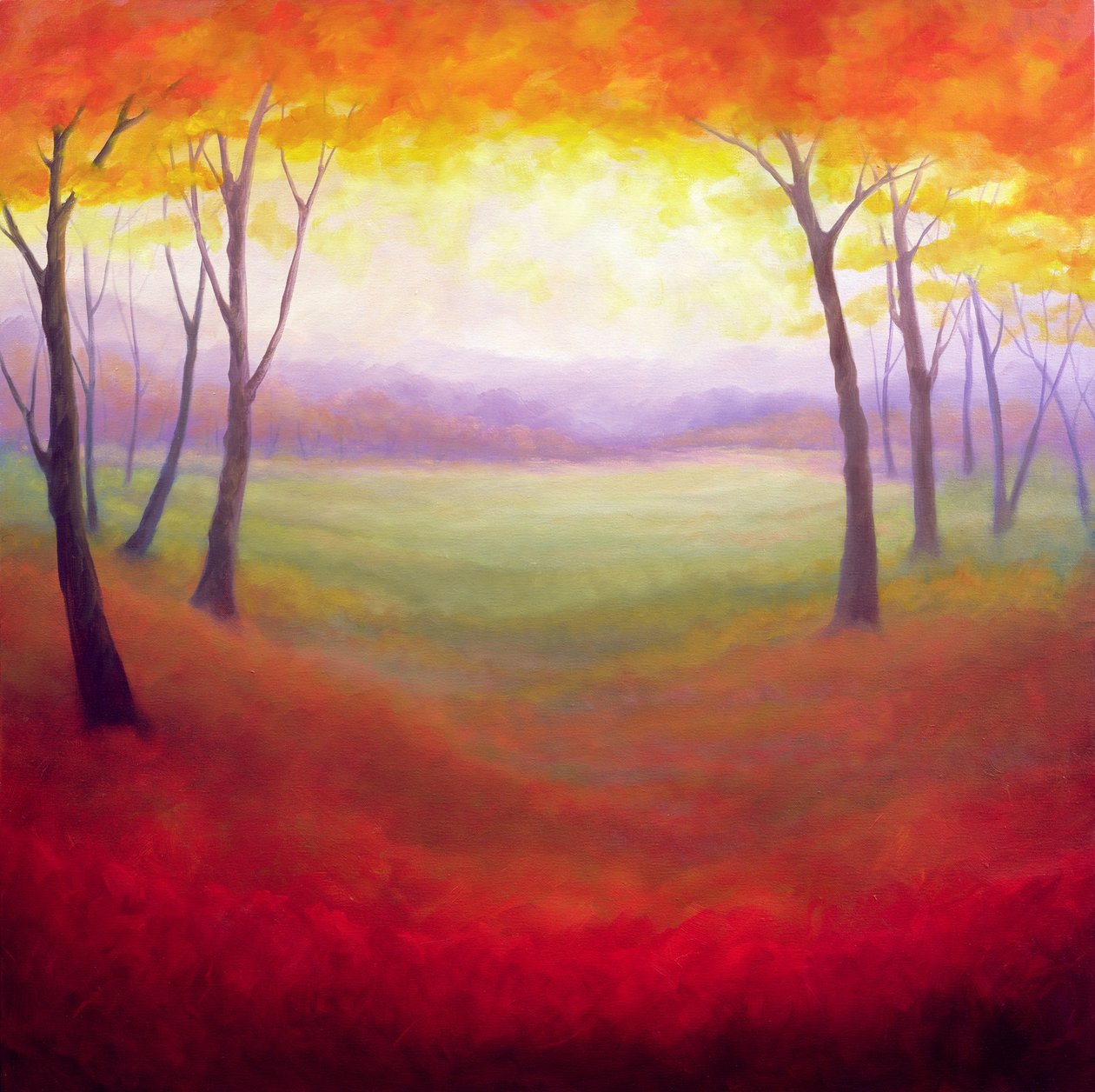 Octobre, 2006 - Lee Campbell