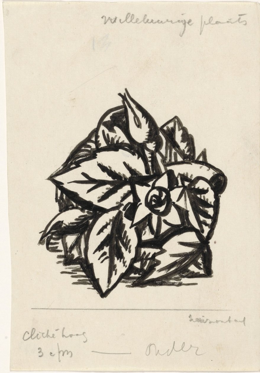 Fleurs - Leo Gestel