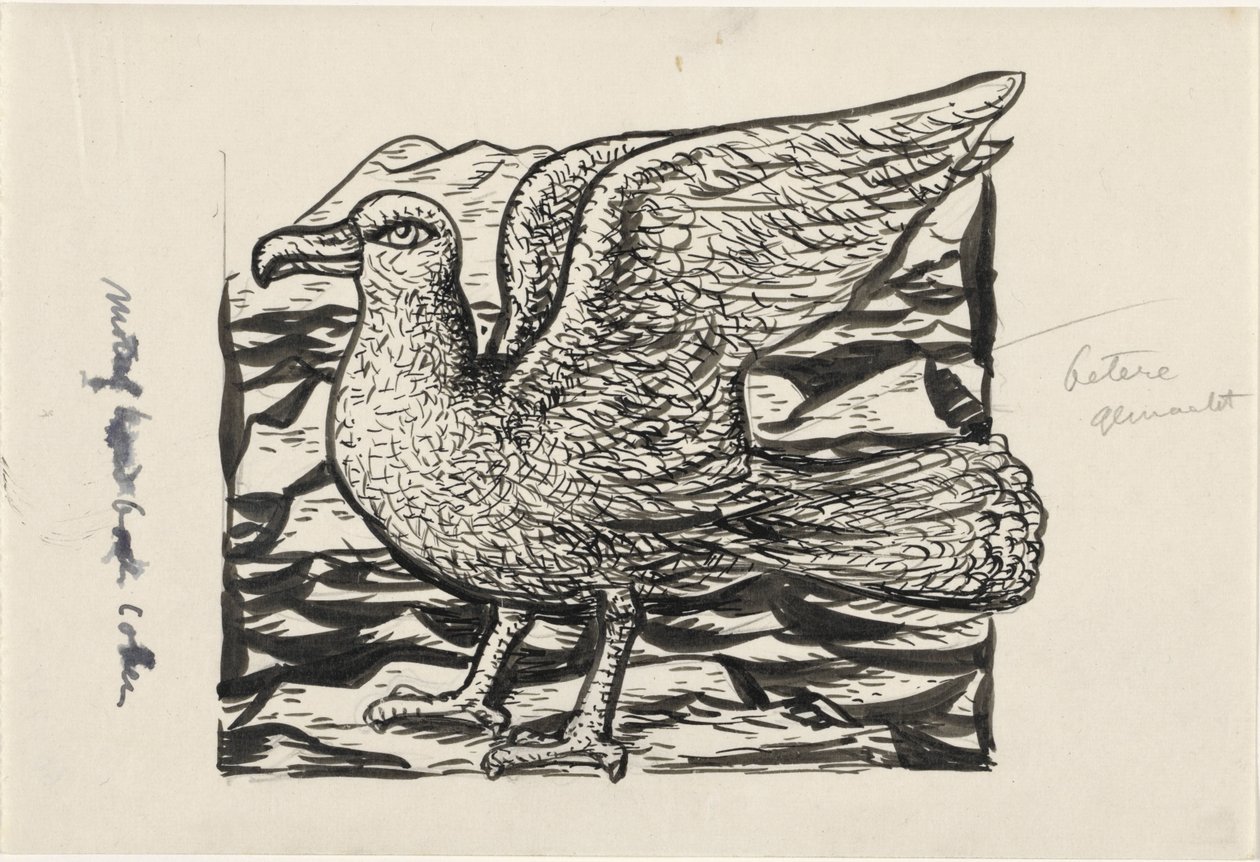 Mouette - Leo Gestel