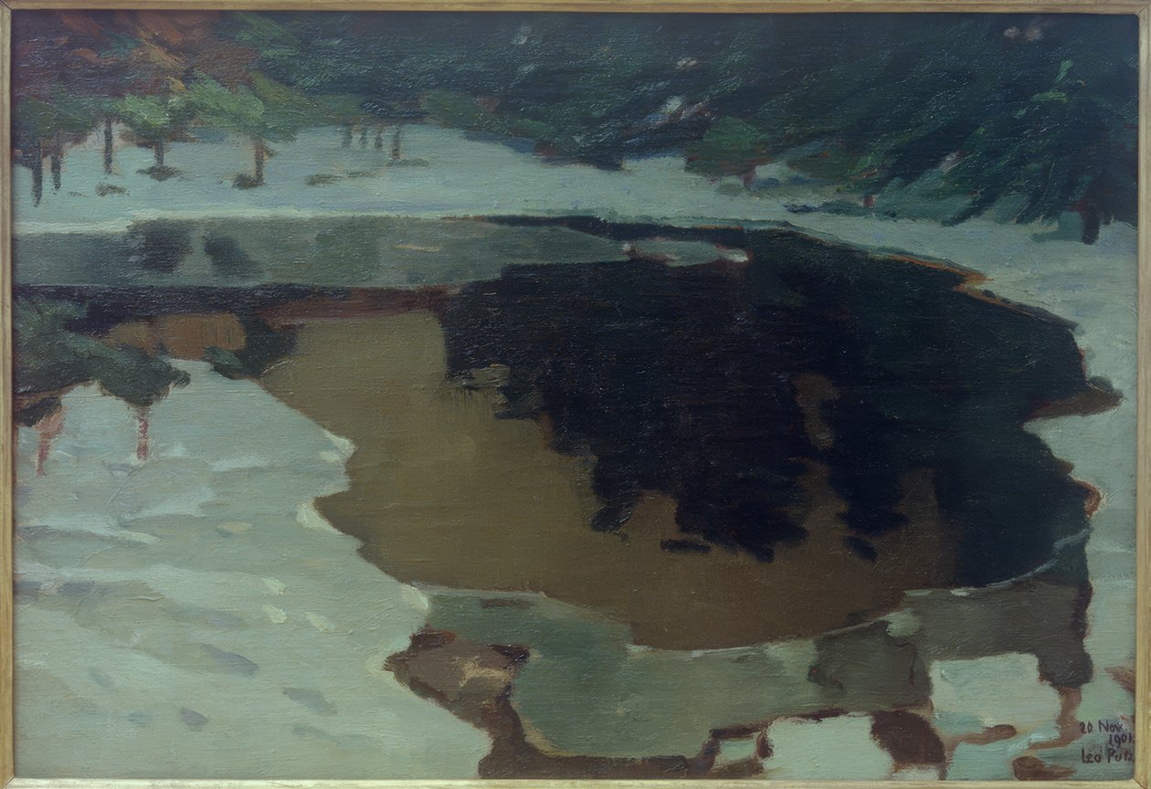 Lac de Tourbière en Hiver - Leo Putz