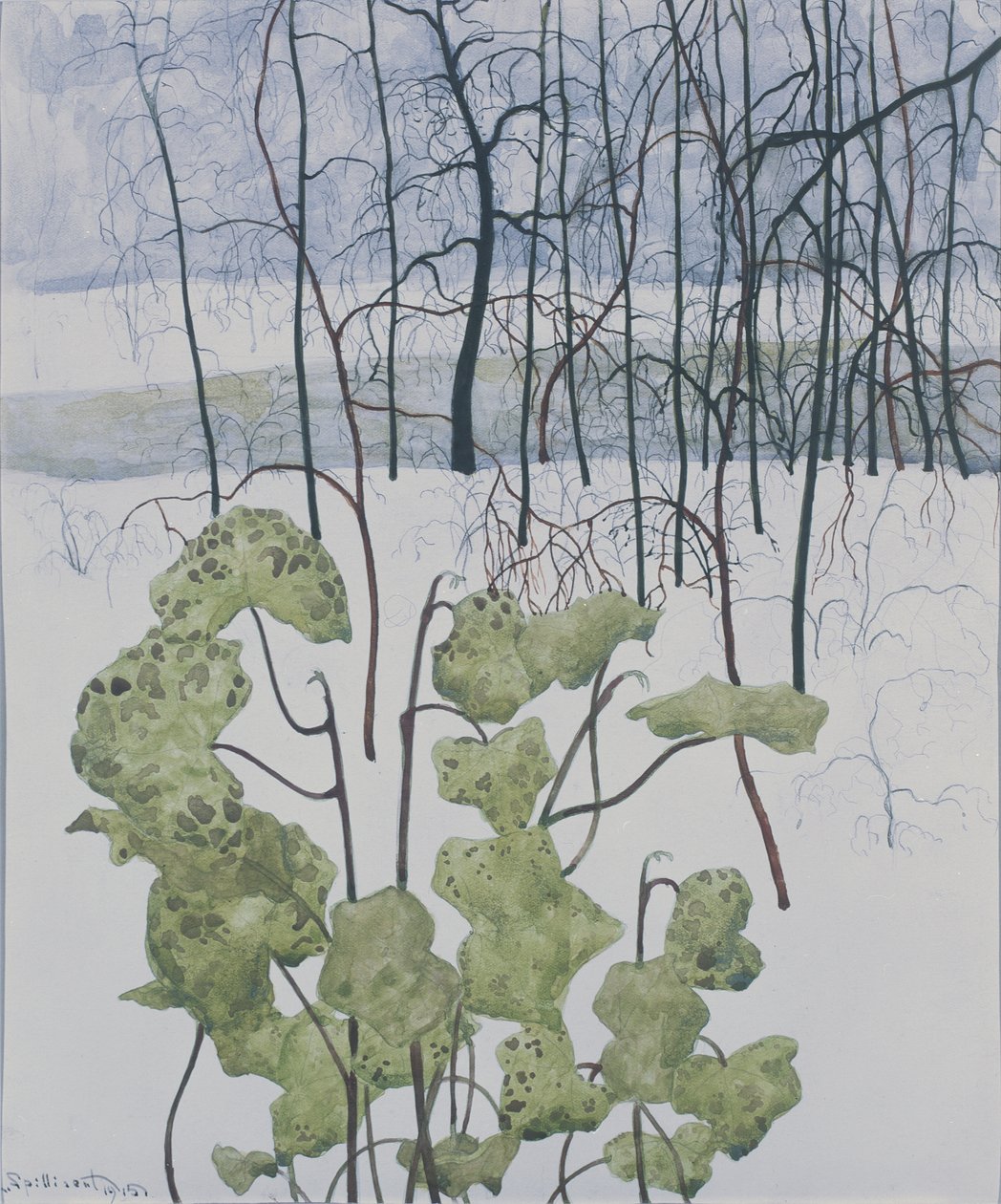 Paysage d