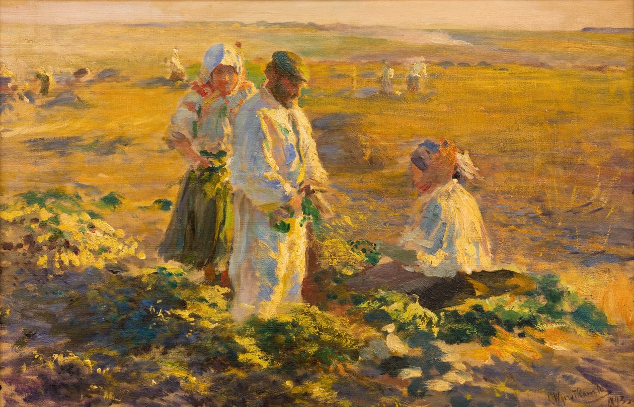 Arrachage de betteraves - Leon Wyczolkowski