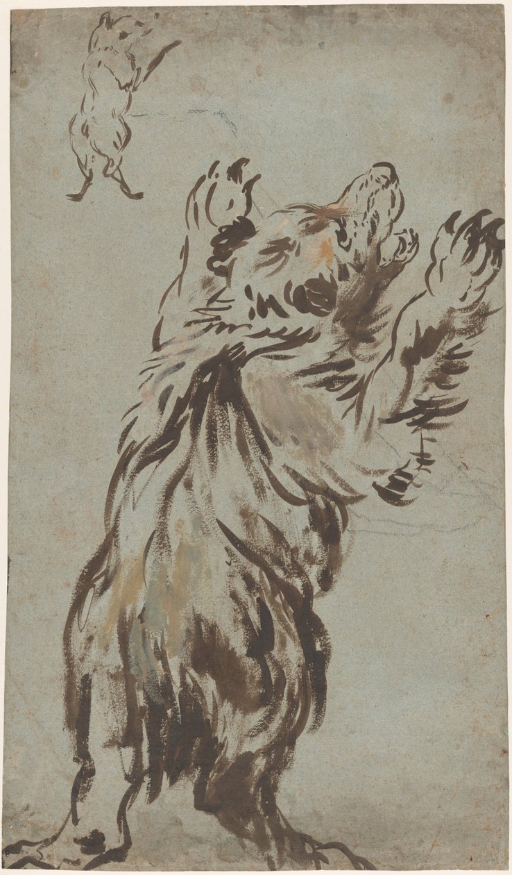 Études d