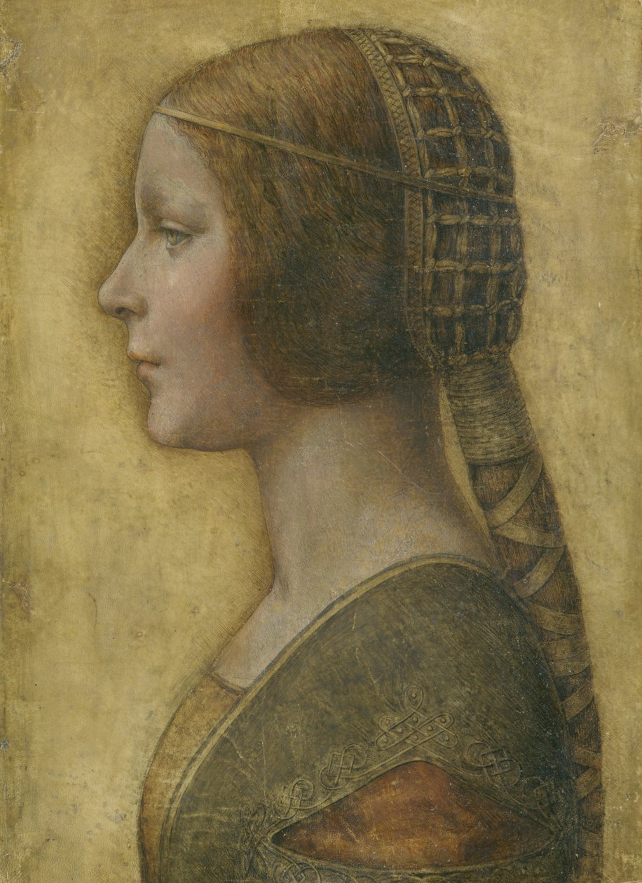 La belle princesse - Leonardo da Vinci