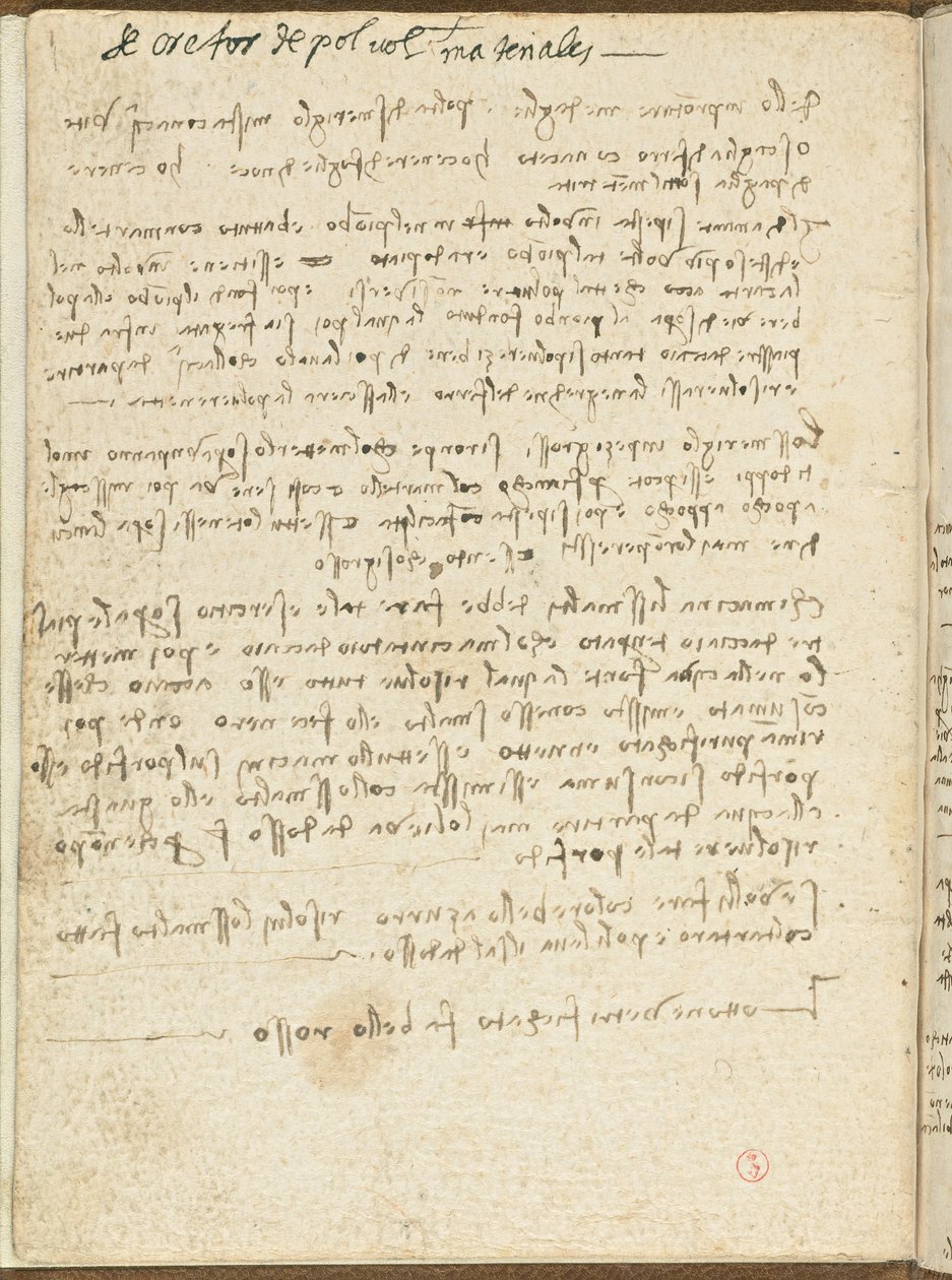 Code de vol des oiseaux, c. 1505-06, manuscrit sur papier, cc. 18, couverture II - Leonardo da Vinci