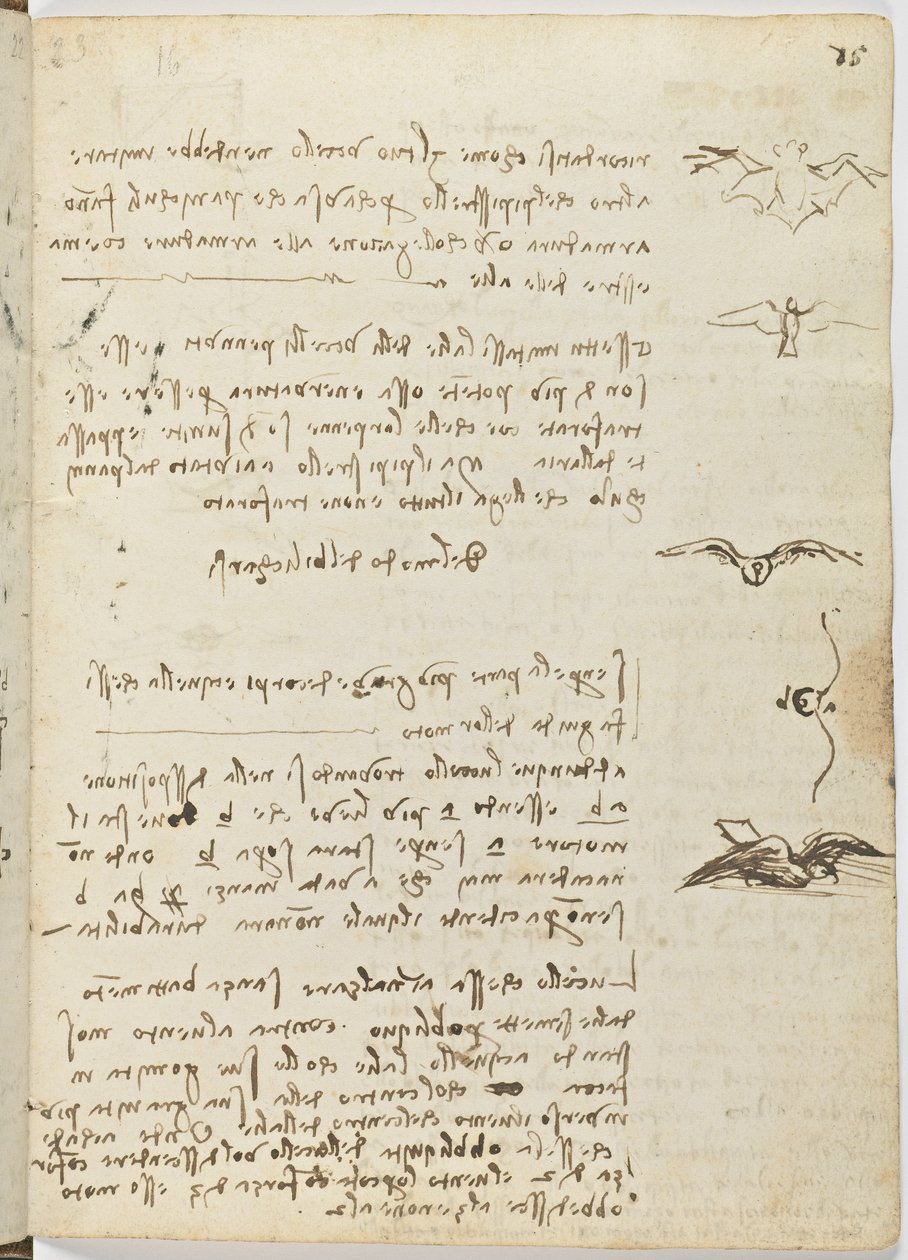 Code de vol des oiseaux, c. 1505-06, manuscrit sur papier, cc. 18, feuille 15 recto - Leonardo da Vinci