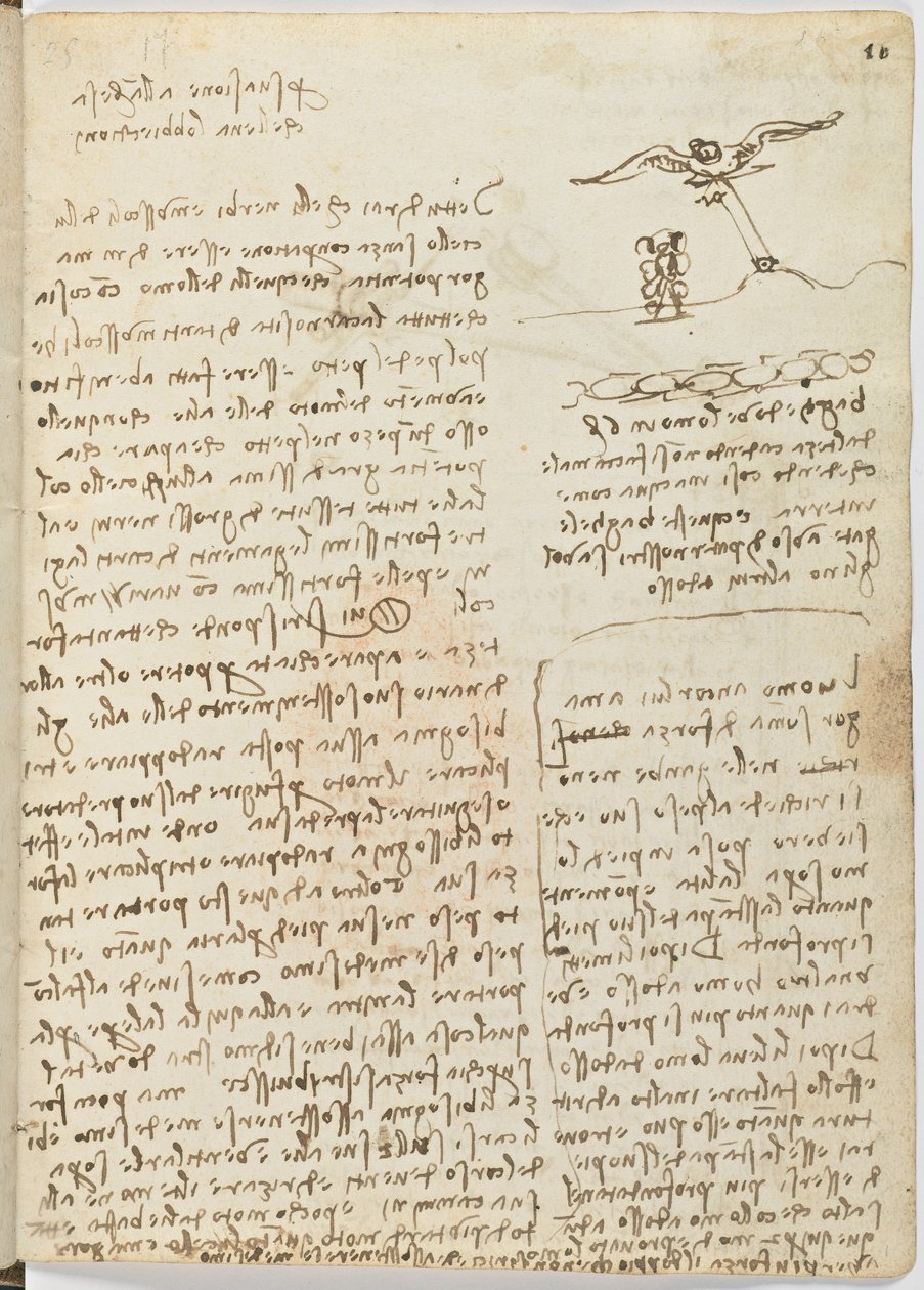 Code de vol des oiseaux, c. 1505-06, manuscrit sur papier, cc. 18, feuille 16 recto - Leonardo da Vinci