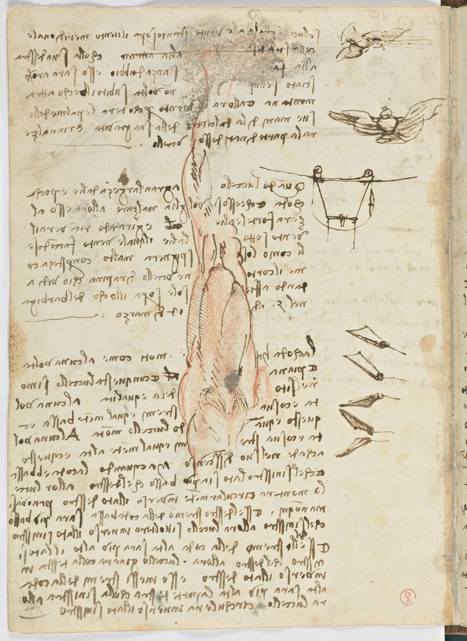 Code de vol des oiseaux, c. 1505-06, manuscrit sur papier, cc. 18, feuille 17 verso - Leonardo da Vinci