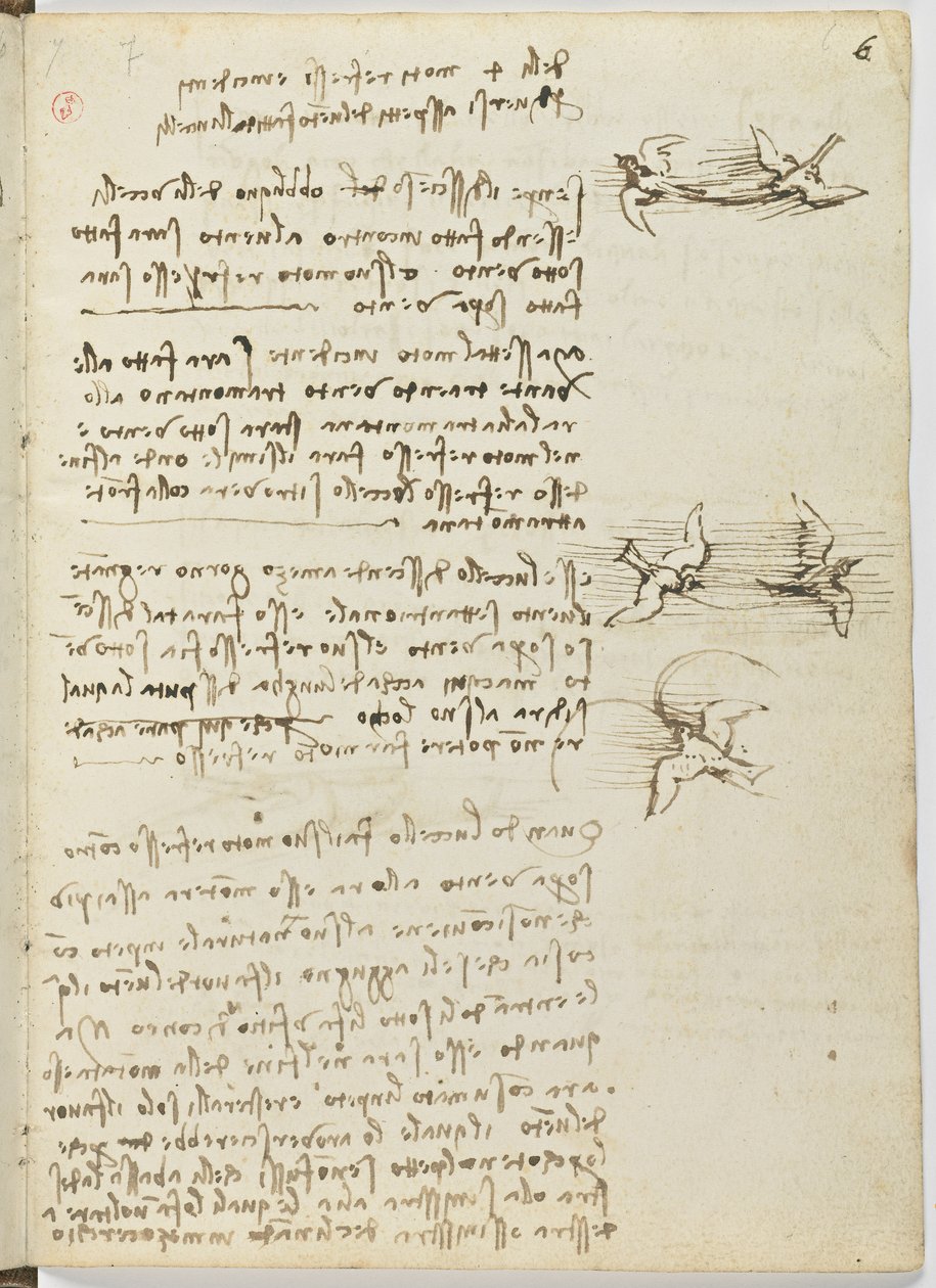 Code de vol des oiseaux, c. 1505-06 - Leonardo da Vinci