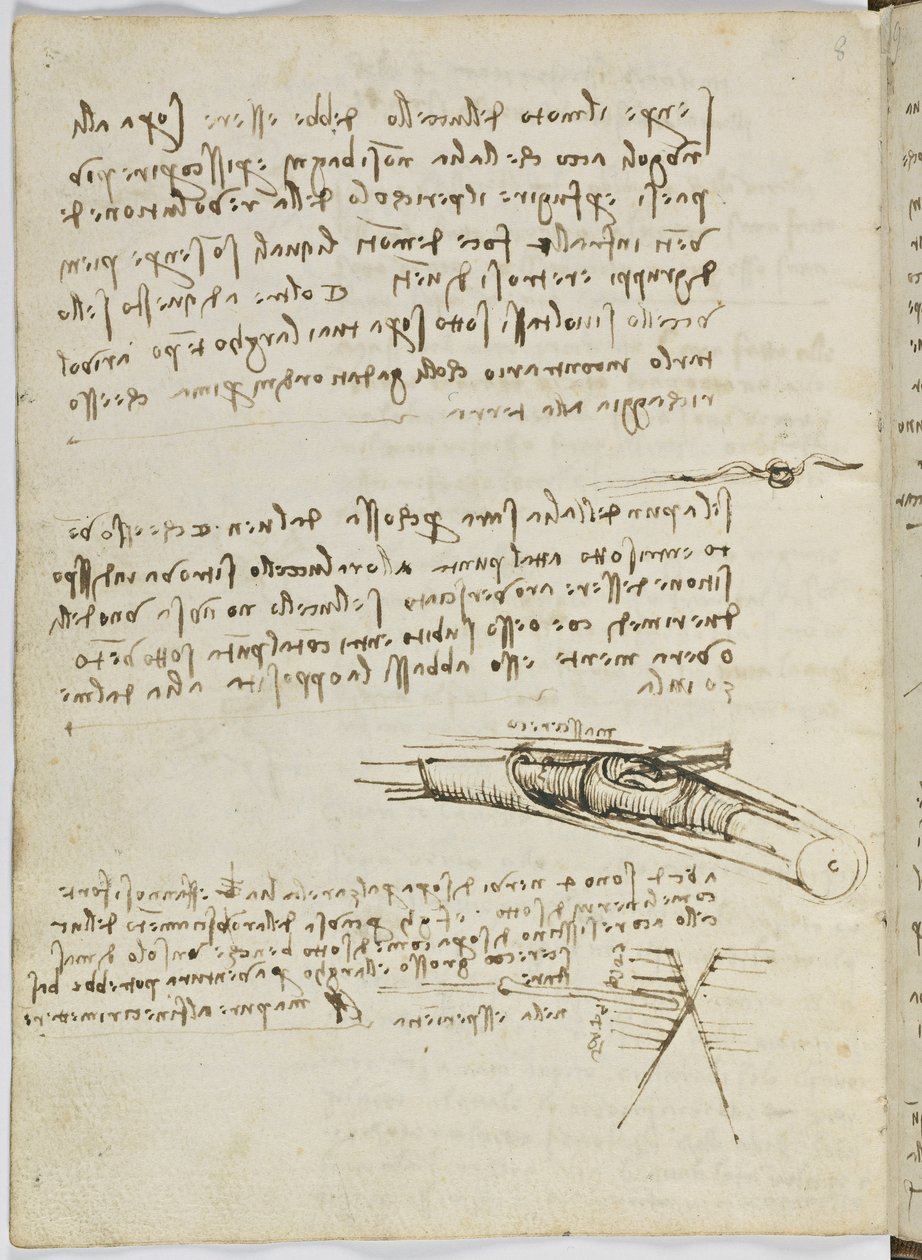 Code sur le vol des oiseaux, c. 1505-06, manuscrit sur papier, cc. 18, feuille 6 verso - Leonardo da Vinci