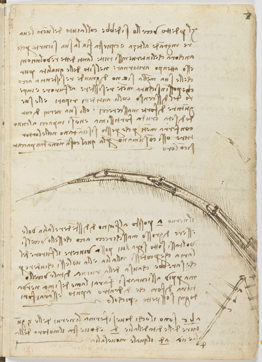 Code sur le vol des oiseaux, c. 1505-06, manuscrit sur papier, cc. 18, feuille 7 recto - Leonardo da Vinci