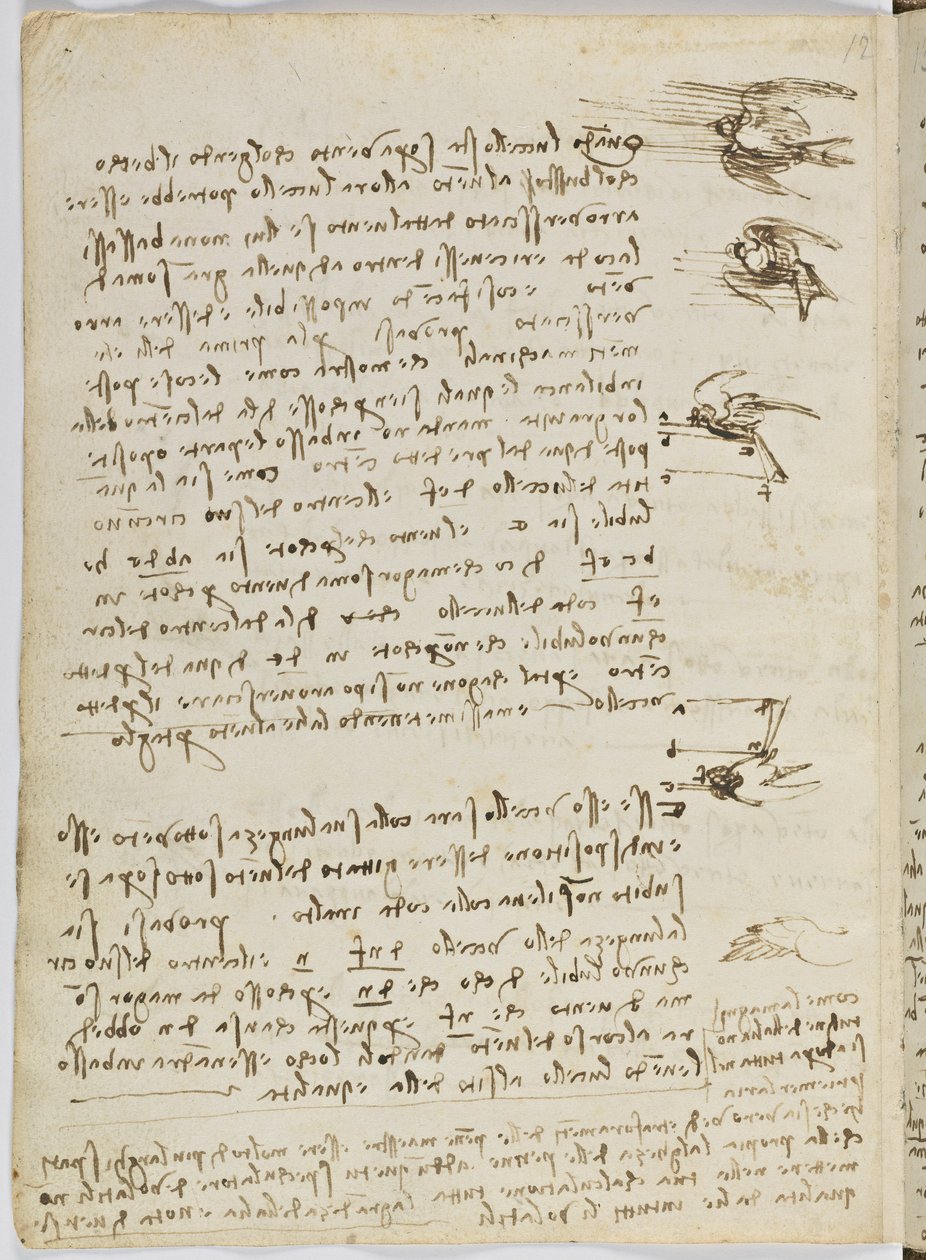Code sur le vol des oiseaux, c. 1505-06, manuscrit sur papier, cc. 18, feuille 8 verso - Leonardo da Vinci