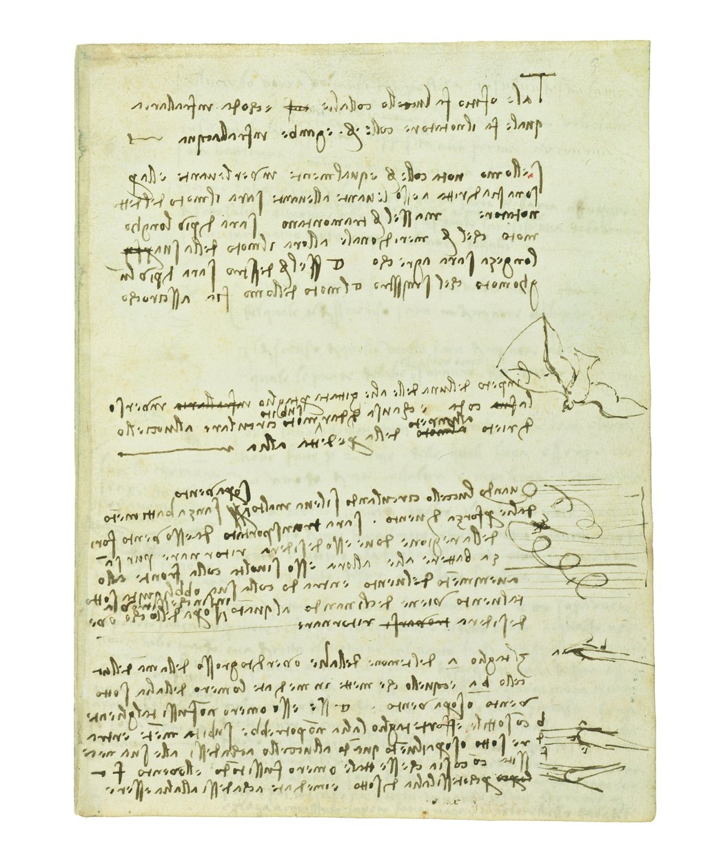 Codex sur le vol des oiseaux, Folio 10 recto - Leonardo da Vinci