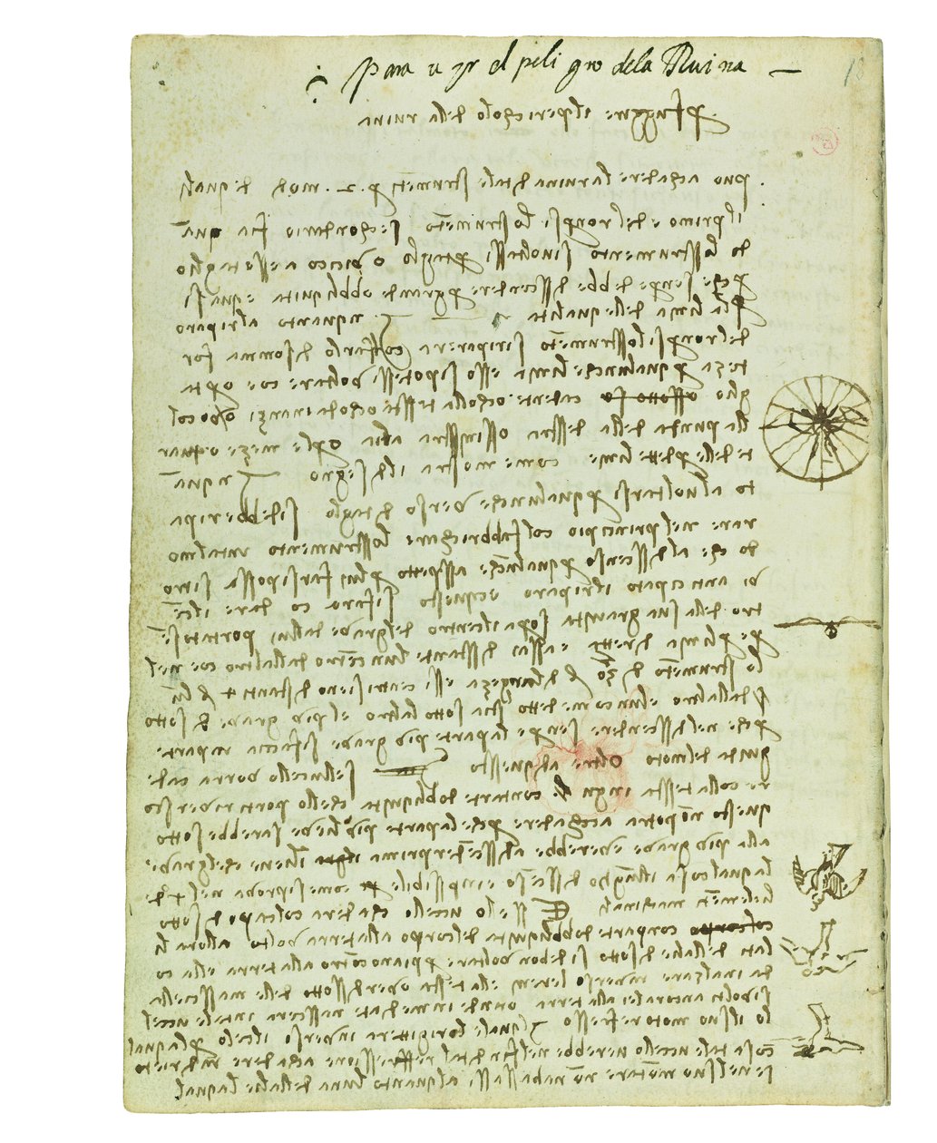 Codex sur le vol des oiseaux, Folio 12 verso - Leonardo da Vinci