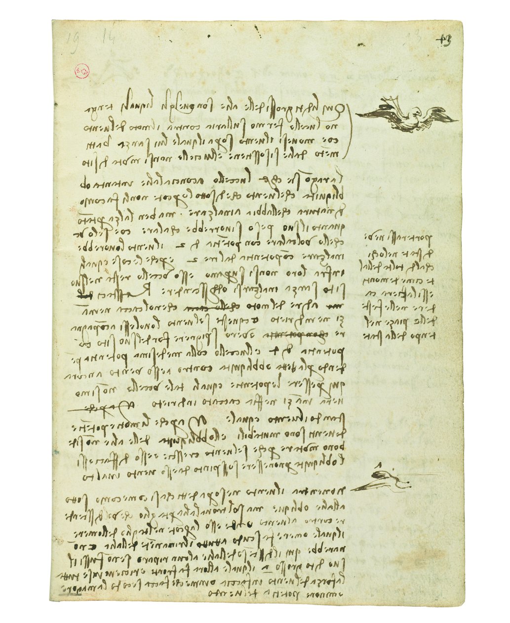 Codex sur le vol des oiseaux, Folio 13 recto - Leonardo da Vinci