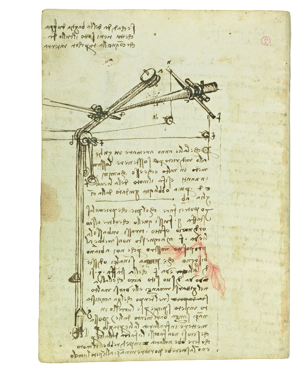 Codex sur le vol des oiseaux, Folio 16 verso - Leonardo da Vinci