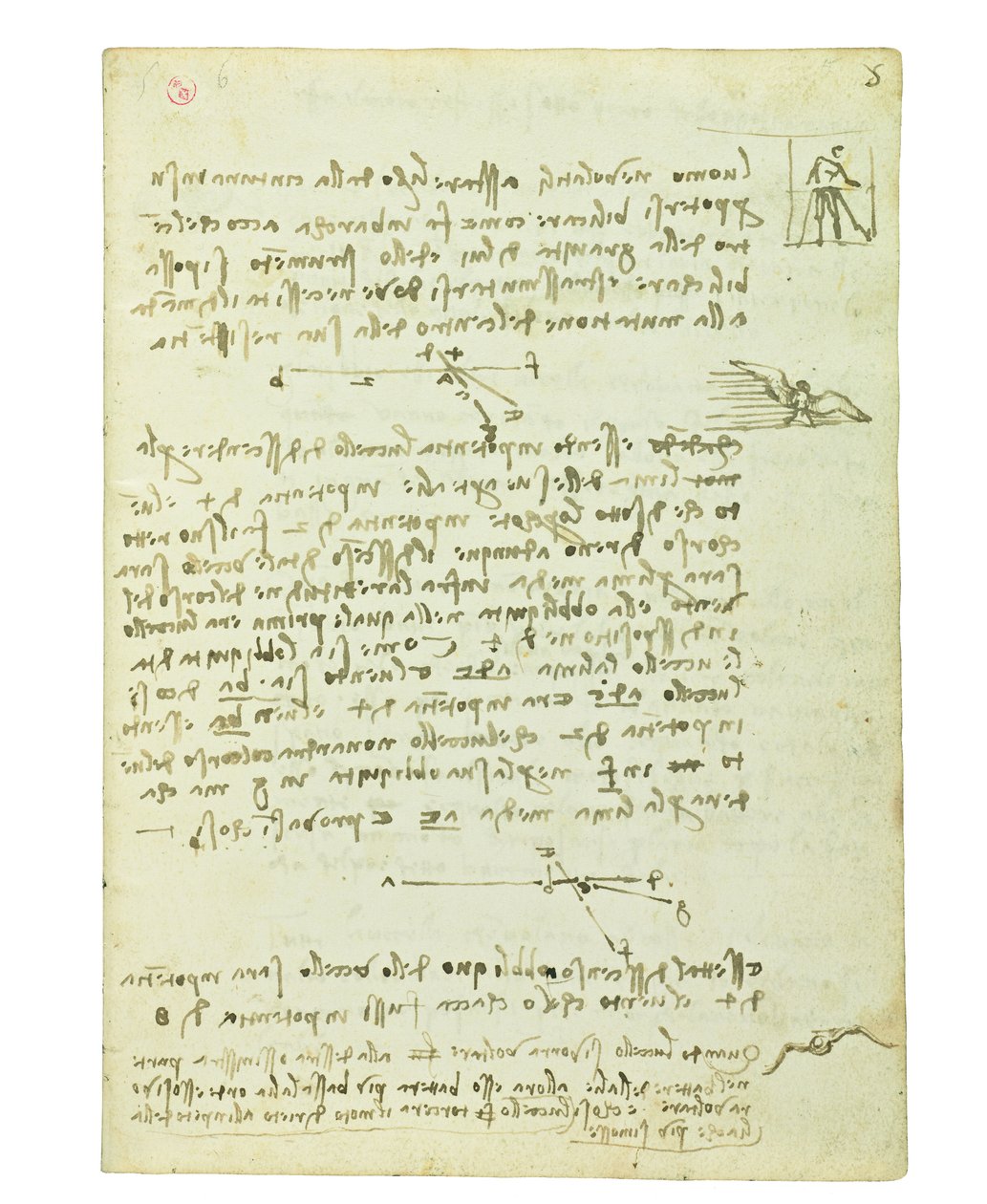 Codex sur le vol des oiseaux, Folio 5 recto - Leonardo da Vinci