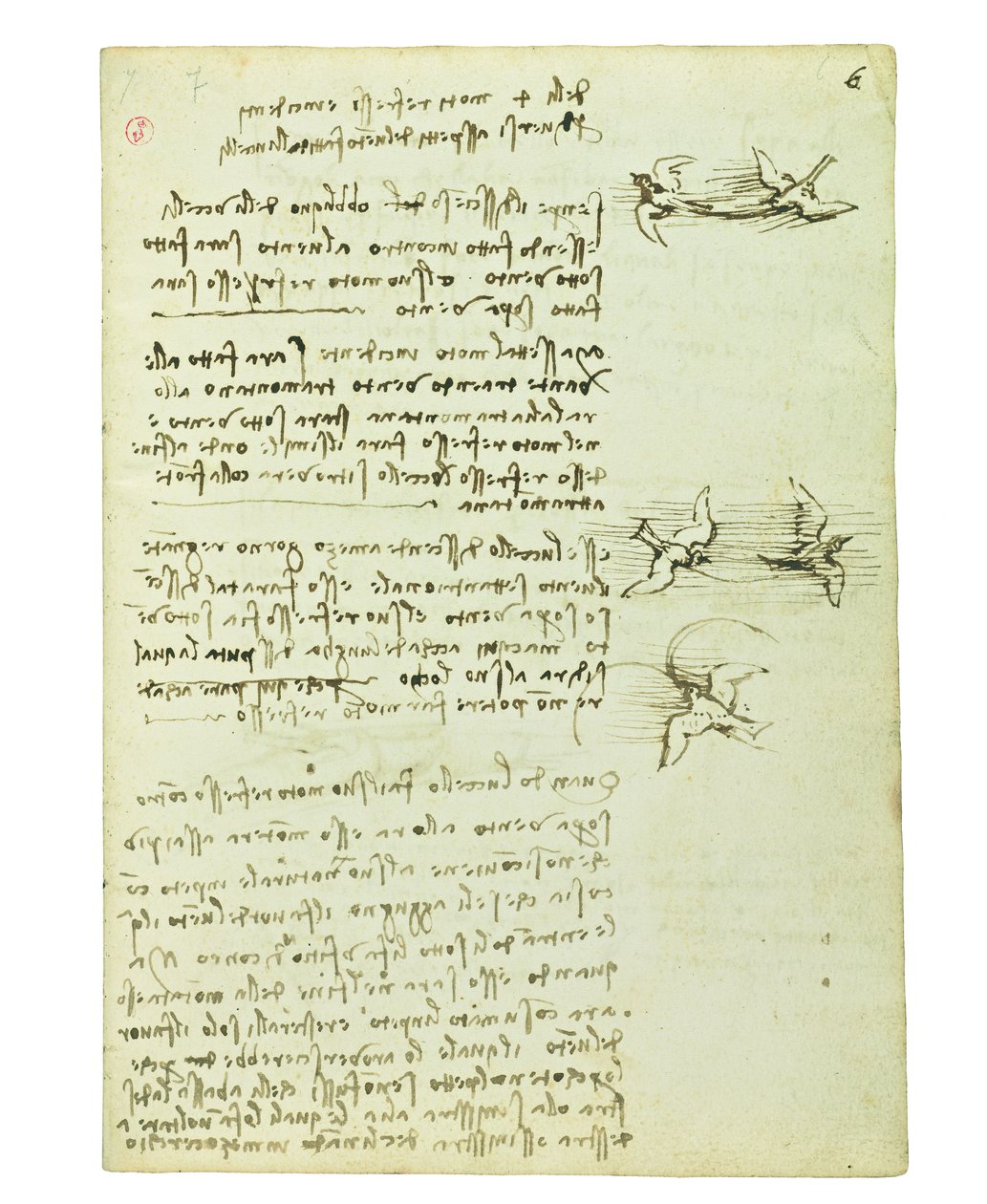 Codex sur le vol des oiseaux, Folio 6 recto - Leonardo da Vinci