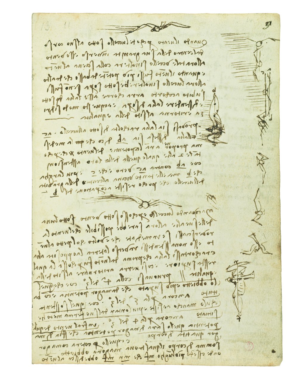 Codex sur le vol des oiseaux, Folio 9 recto - Leonardo da Vinci