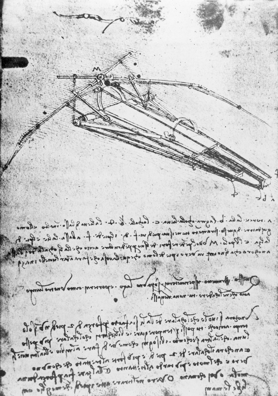MS B 2173, folio 74v : Étude pour une machine volante, 1487-1490 - Leonardo da Vinci