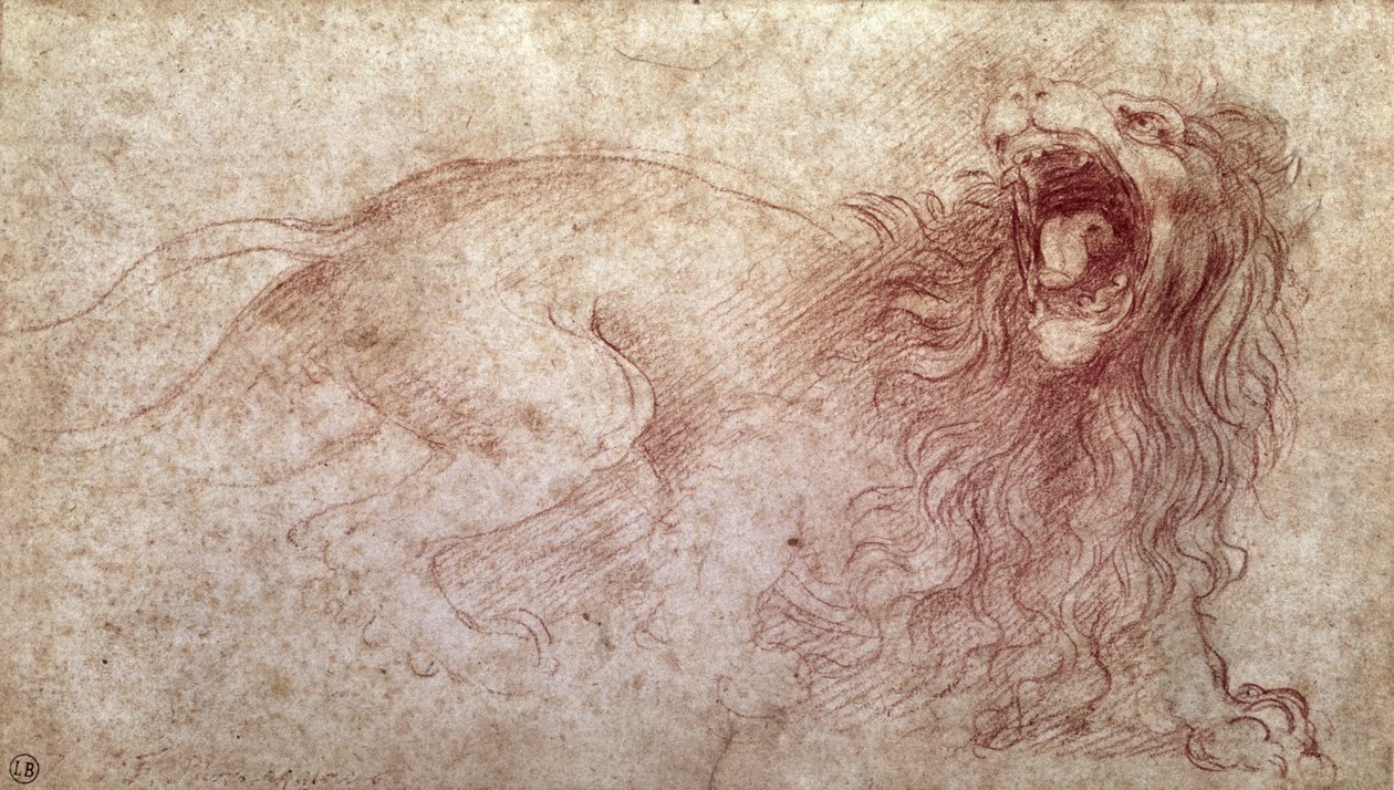 Croquis d
