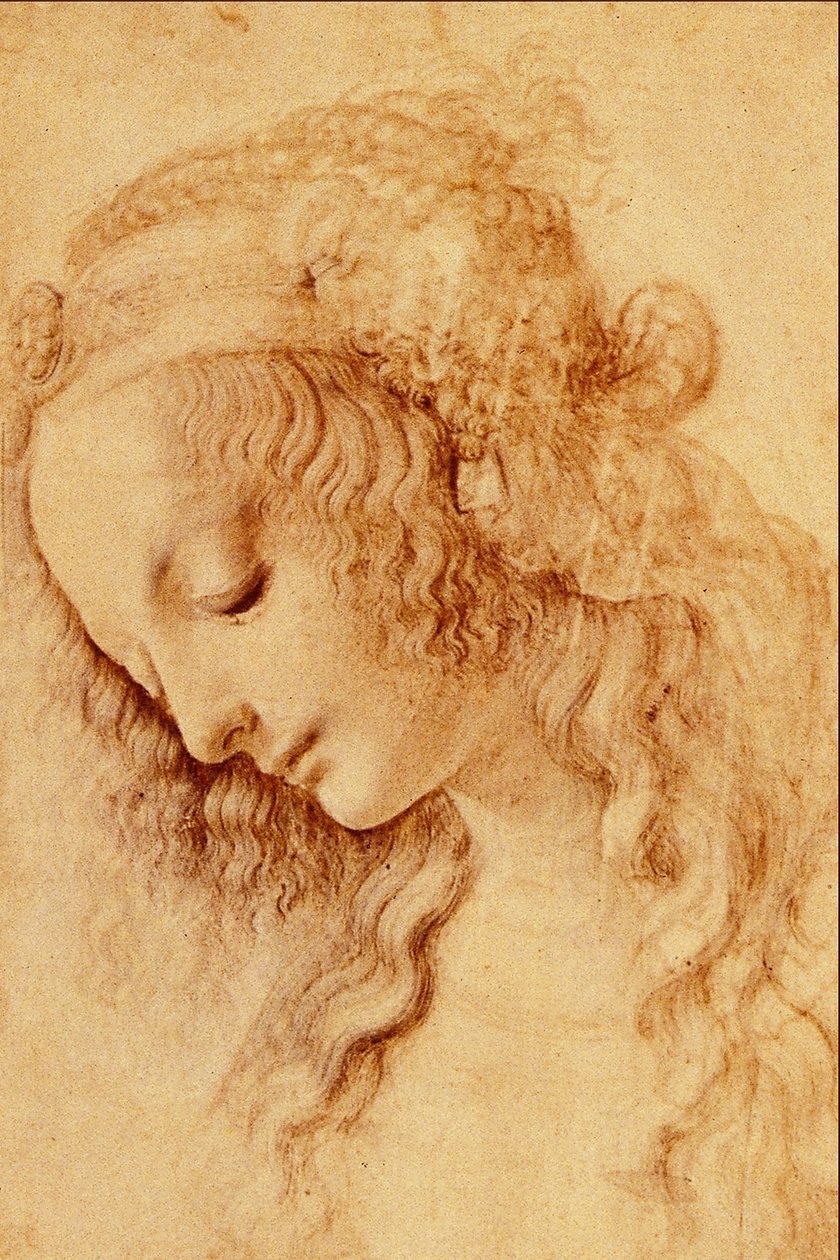 Têtes de femme de profil - Leonardo da Vinci