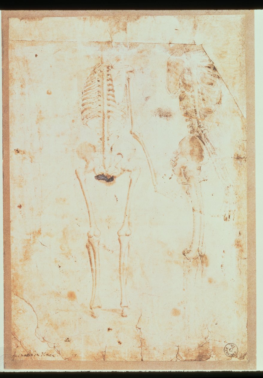 Deux études d