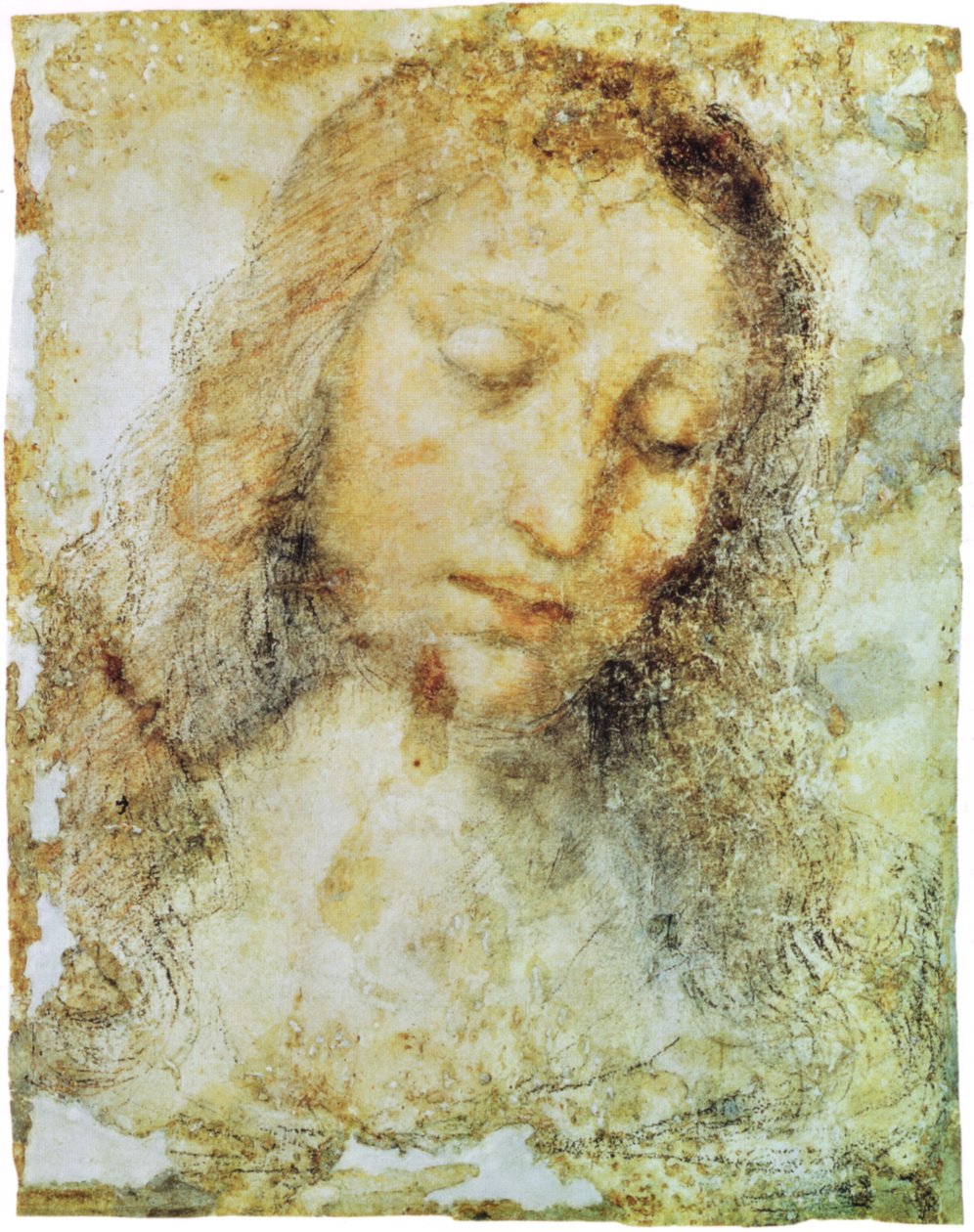 Pinacothèque de Brera - Leonardo da Vinci