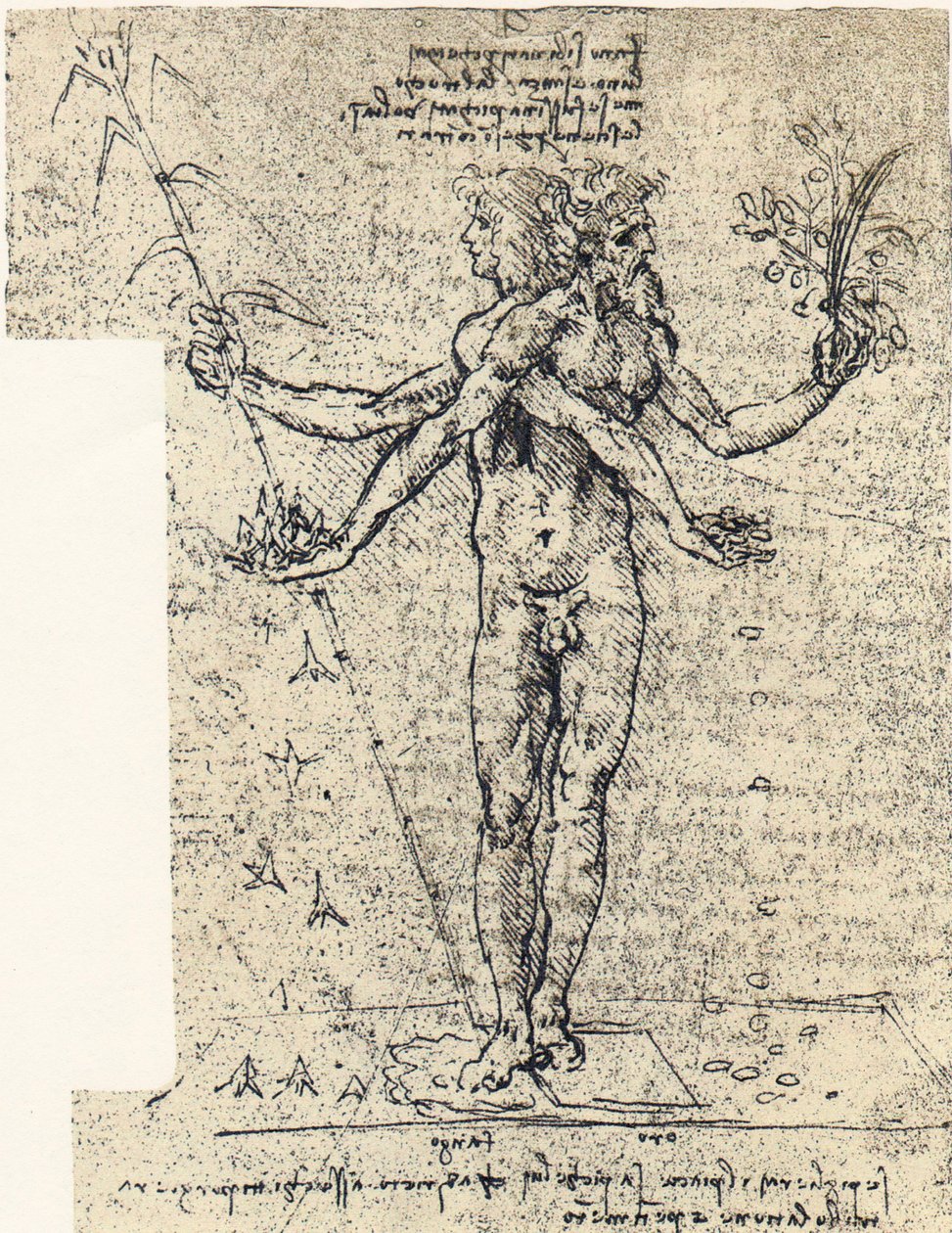 dessin inconnu d
