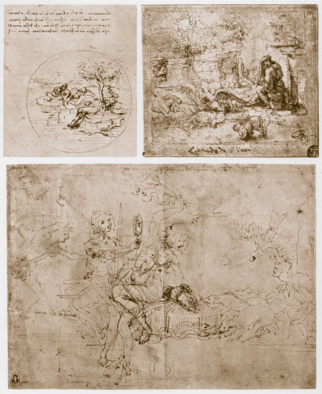 Allégories, 15e siècle - Leonardo da Vinci