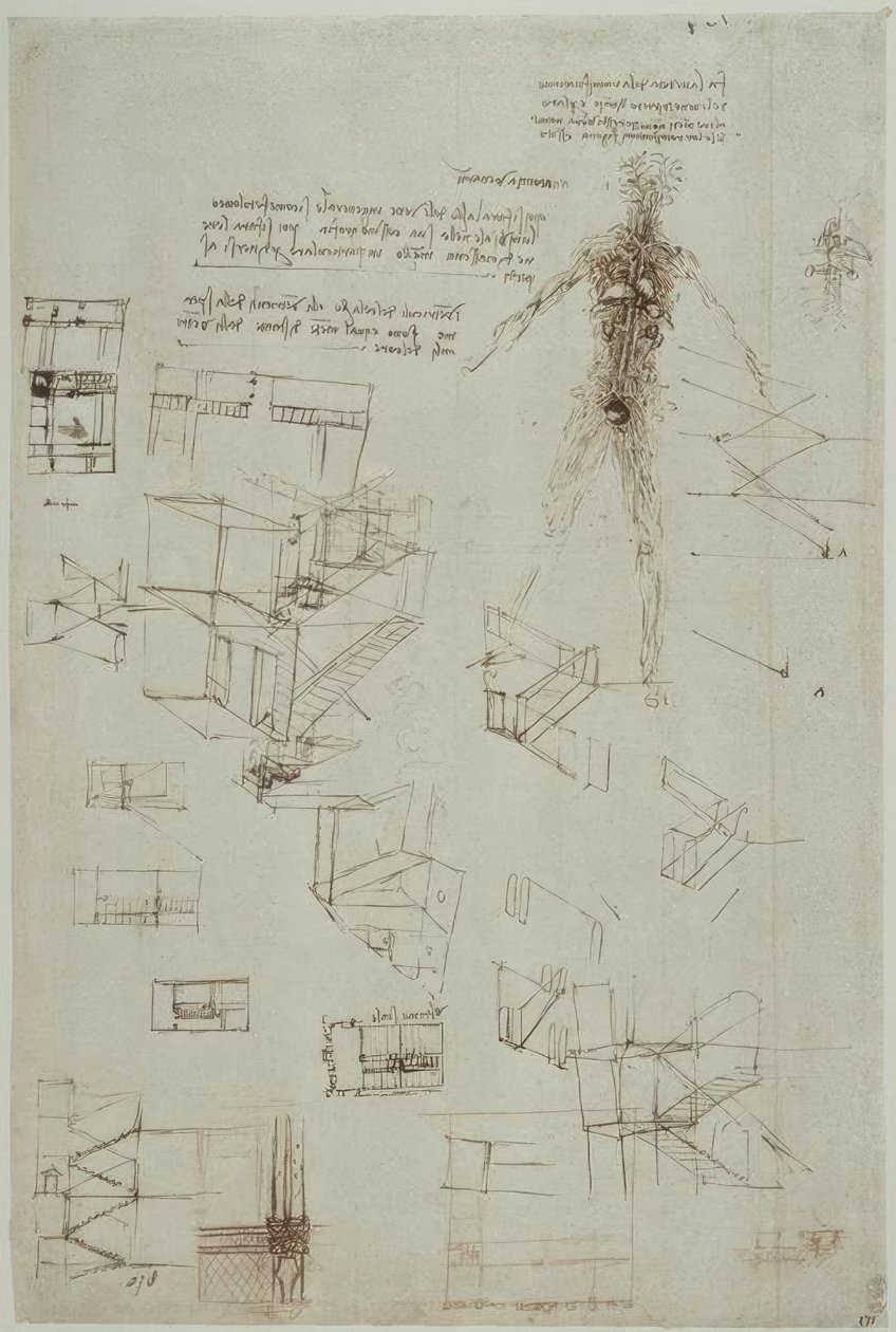 Études anatomiques - Leonardo da Vinci