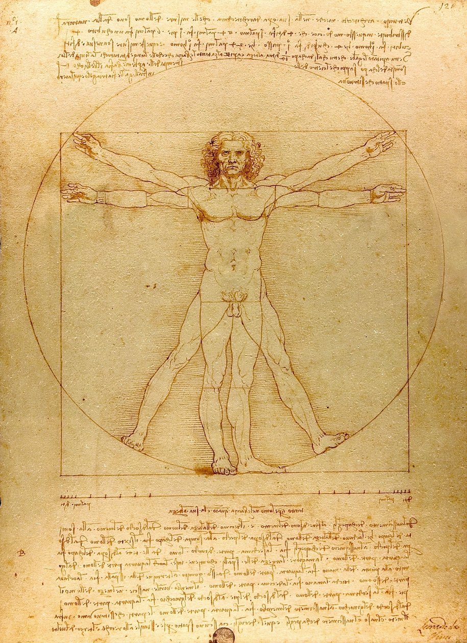 Da Vinci Vitruve Luc Viatour (cropped) - Leonardo da Vinci