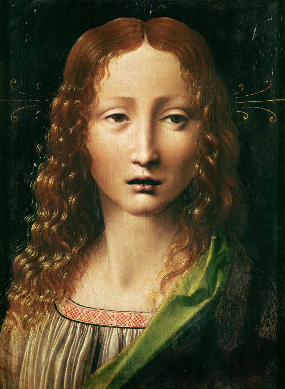 Tête du Sauveur - Leonardo da Vinci
