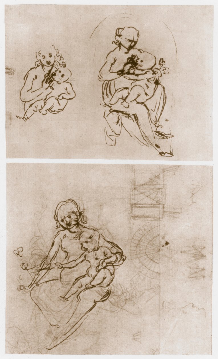 Madone à la fleur, c1478 - Leonardo da Vinci