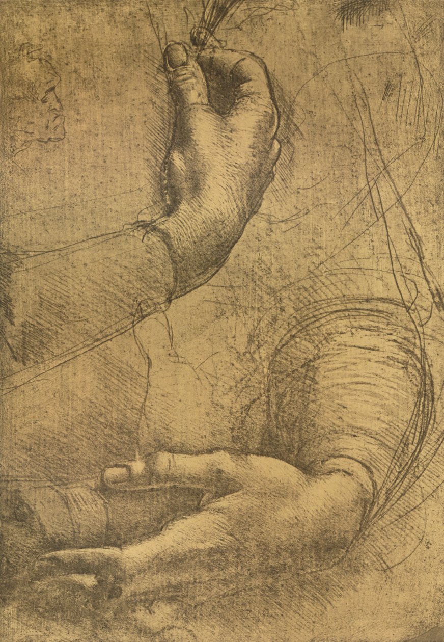 Étude de mains féminines, vers 1472-1519 - Leonardo da Vinci