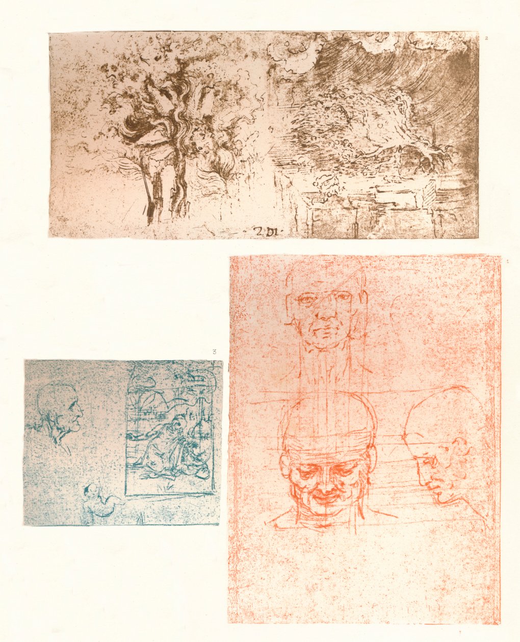 Trois dessins, c1472-c1519 - Leonardo da Vinci