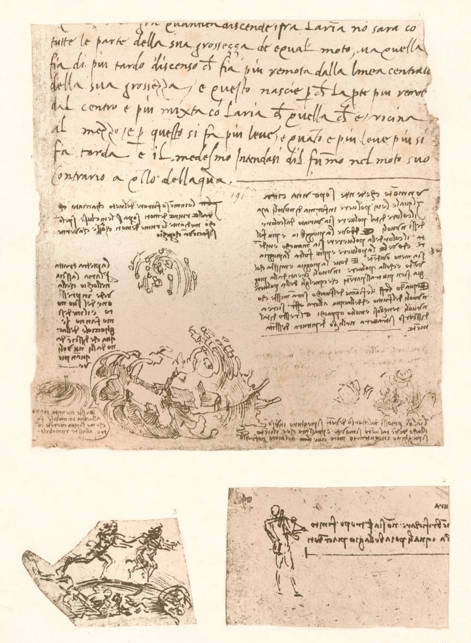 Trois dessins, vers 1472-1519, 1883 - Leonardo da Vinci