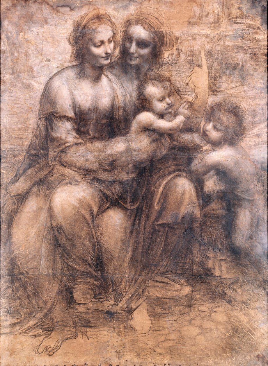 Image inconnue - Leonardo da Vinci