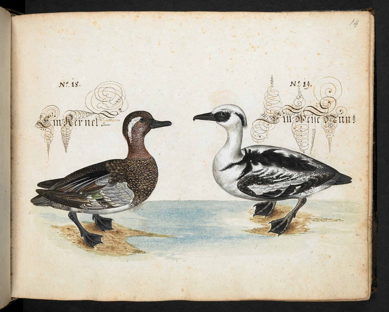 Add MS 6485 - Leonhard Baldner