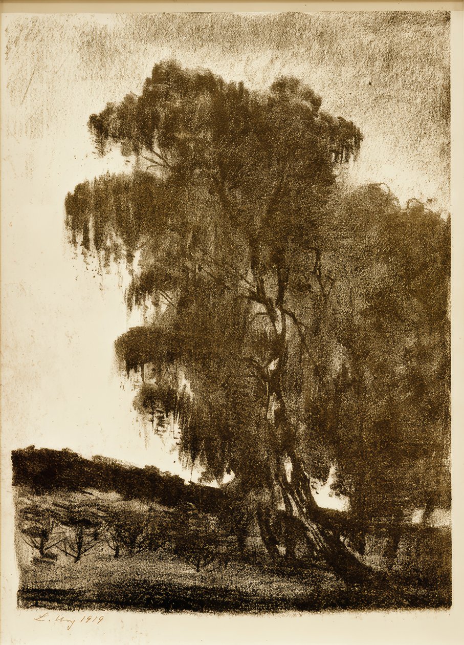 Bouleaux - Lesser Ury