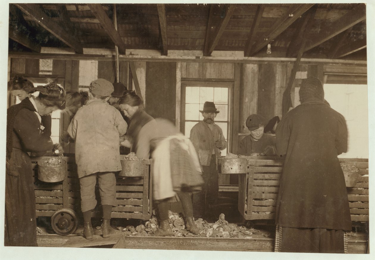 Mike Murphy, 10 ans, Annie Healy, 7 ans, et Ross Healy, 10 ans (qui travaille depuis 2 ans) dans le hangar de décorticage à Alabama Canning Co, Bayou La Batre, Alabama, 1911 - Lewis Wickes Hine
