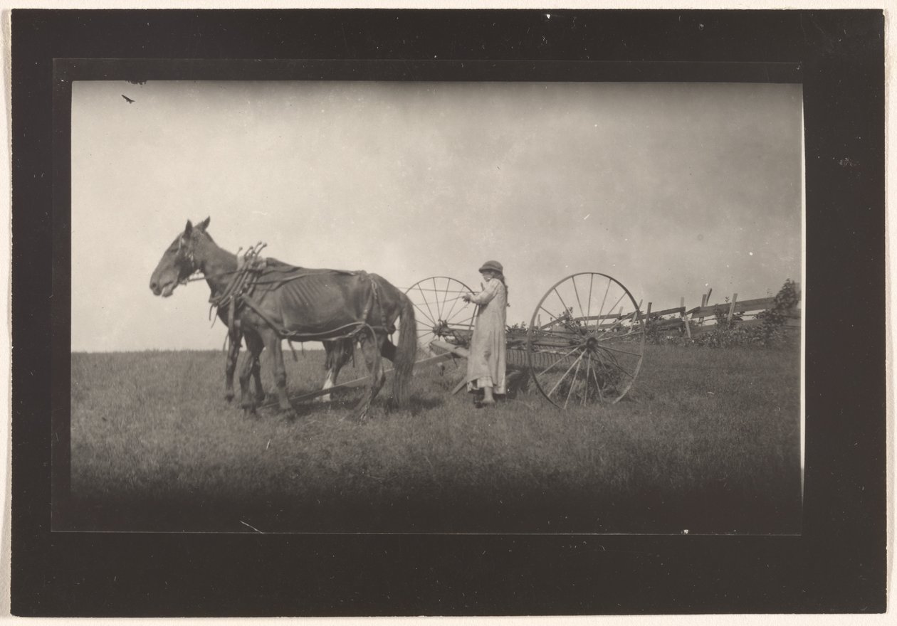 [Scène de ferme, Massachusetts] - Lewis W. Hine