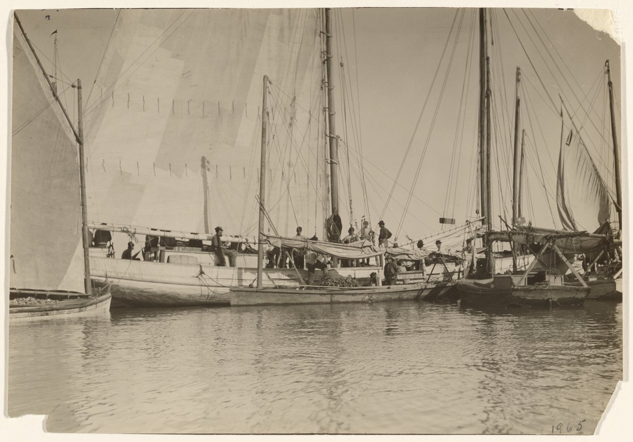 [Bateaux à huîtres, baie de Mobile, Alabama] - Lewis W. Hine