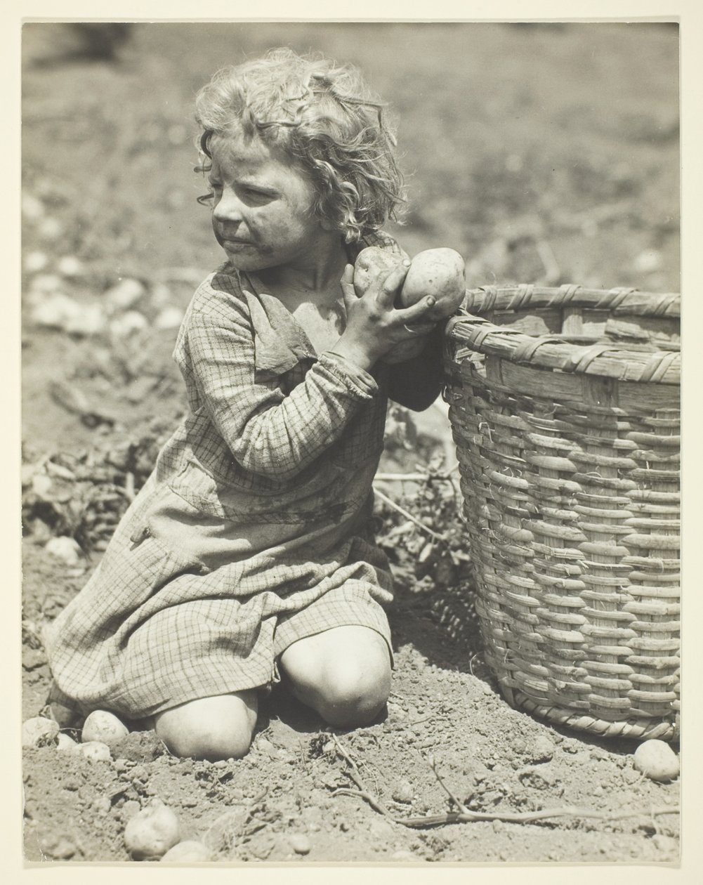 Le travail des enfants dans les exploitations agricoles - Lewis Wickes Hine