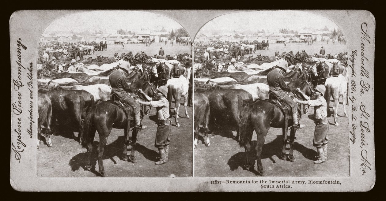 Guerre des Boers (Afrique du Sud) - Unbekannt Unbekannt