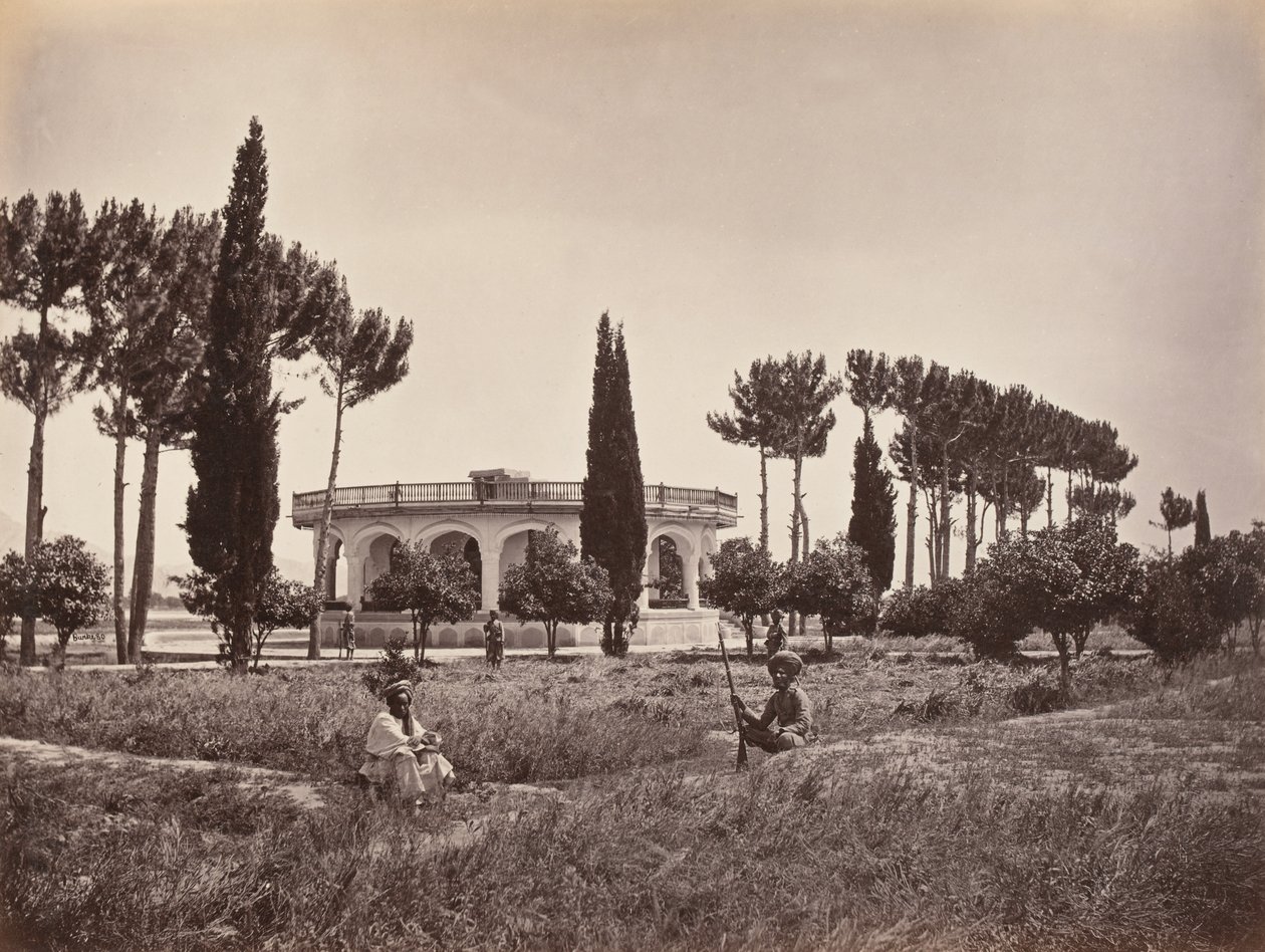 Le jardin de l